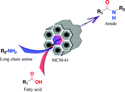 Graphical abstract: Mesoporous silica MCM-41 as a highly active, recoverable and reusable catalyst for direct amidation of fatty acids and long-chain amines