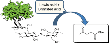 Graphical abstract: Mixed-acid systems for the catalytic synthesis of methyl levulinate from cellulose