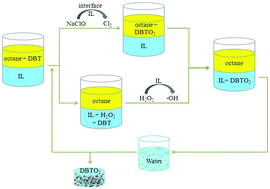 Graphical abstract: Desulfurization by oxidation combined with extraction using acidic room-temperature ionic liquids