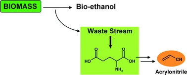 Graphical abstract: Biobased synthesis of acrylonitrile from glutamic acid