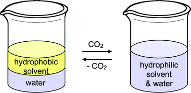 Graphical abstract: Tertiary amine solvents having switchable hydrophilicity