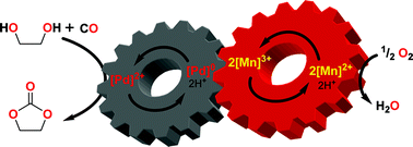 Graphical abstract: Adapting a Wacker-type catalyst system to the palladium-catalyzed oxidative carbonylation of aliphatic polyols