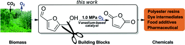 Graphical abstract: Oxidation of 5-hydroxymethylfurfural to maleic anhydride with molecular oxygen