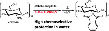 Graphical abstract: Preparation of highly chemoselective N-phthaloyl chitosan in aqueous media