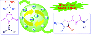 Graphical abstract: An efficient synthesis of dihydrothiophene ureidoformamides by domino reactions of 1,3-thiazolidinedione under catalyst-free conditions