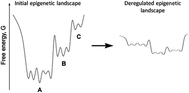 Graphical abstract: The origins of cancer robustness and evolvability