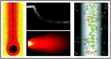 Graphical abstract: Microfluidics for bacterial chemotaxis