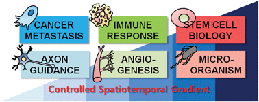 Graphical abstract: Biological applications of microfluidic gradient devices