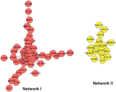 Graphical abstract: Gene transcriptional networks integrate microenvironmental signals in human breast cancer