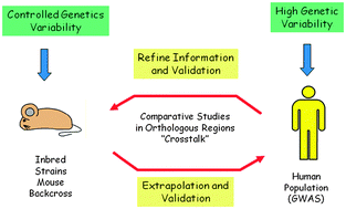 Graphical abstract: Cancer evolution and individual susceptibility