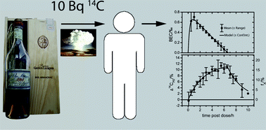 Graphical abstract: Direct radiocarbon analysis of exhaled air