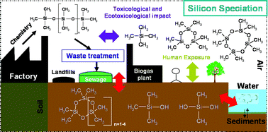 Graphical abstract: Silicon speciation by hyphenated techniques for environmental, biological and industrial issues: A review