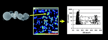 Graphical abstract: Improved particle location and isotopic screening measurements of sub-micron sized particles by Secondary Ion Mass Spectrometry