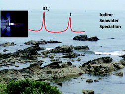 Graphical abstract: Sensitive iodine speciation in seawater by multi-mode size-exclusion chromatography with sector-field ICP-MS