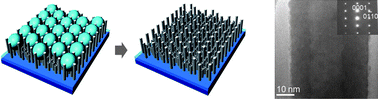 Graphical abstract: Synthesis of ZnO nanotubes and nanotube-nanorod hybrid hexagonal networks using a hexagonally close-packed colloidal monolayer template