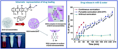 Graphical abstract: Nanoscale assembly of mesoporous ZnO: A potential drug carrier