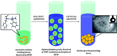 Graphical abstract: A peony-flower-like hierarchical mesocrystal formed by diphenylalanine