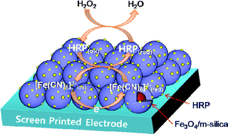 Graphical abstract: Core/shell nanoparticles as hybrid platforms for the fabrication of a hydrogen peroxide biosensor