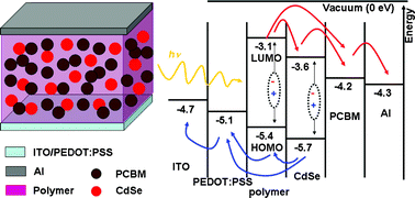 Graphical abstract: The effects of CdSe incorporation into bulk heterojunction solar cells