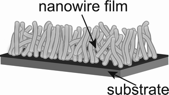 Graphical abstract: Solution growth of anatase TiO2 nanowires from transparent conducting glass substrates