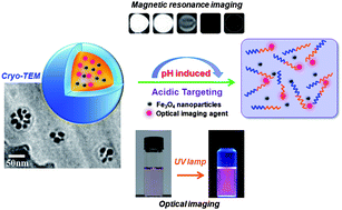 Graphical abstract: An acidic pH-triggered polymeric micelle for dual-modality MR and optical imaging