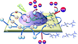Graphical abstract: Visible-light C–heteroatom bond cleavage and detoxification of chemical warfare agents using titania-supported gold nanoparticles as photocatalyst
