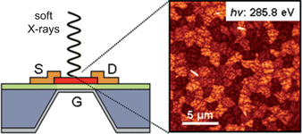 Graphical abstract: In situ STXM investigations of pentacene-based OFETs during operation