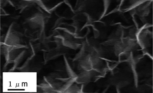 Graphical abstract: Characterization and surface modification of carbon nanowalls