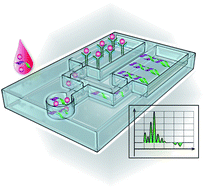 Graphical abstract: Recent developments employing new materials for readout in lab-on-a-chip