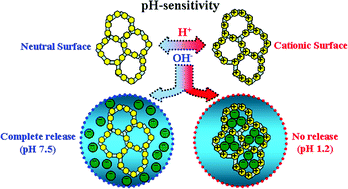 Graphical abstract: pH-Sensitive mesoporous zirconium diphosphonates for controllable colon-targeted delivery