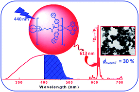 Graphical abstract: Highly efficient visible light sensitized red emission from europium tris[1-(4-biphenoyl)-3-(2-fluoroyl)propanedione](1,10-phenanthroline) complex grafted on silica nanoparticles
