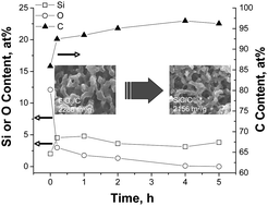 Graphical abstract: Synthesis and characterization of monolithic, high surface area SiO2/C and SiC/C composites