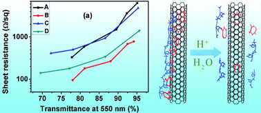 Graphical abstract: Dispersion of single-walled carbon nanotubes by DNA for preparing transparent conductive films