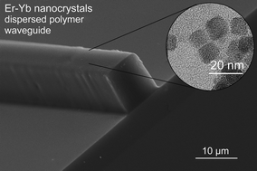 Graphical abstract: Long aliphatic chain coated rare-earth nanocrystal as polymer-based optical waveguide amplifiers