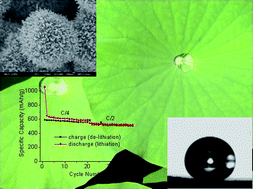 Graphical abstract: Direct fabrication of double-rough chestnut-like multifunctional Sn@C composites on copper foil: lotus effect and lithium ion storage properties