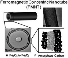Graphical abstract: Structural and morphological features of concentric iron oxide/carbon nanotubes obtained from phospholipids