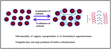Graphical abstract: The self-assembly and photophysical characterization of tri(cyclopenta[def]phenanthrene)-derived nanoparticles: a template free synthesis of hollow colloidosomes.