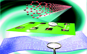 Graphical abstract: Single crystal ribbons and transistors of a solution processed sickle-like fused-ring thienoacene