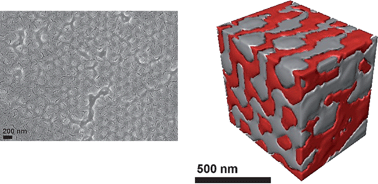 Graphical abstract: Three-dimensionally interconnected organic nanocomposite thin films: implications for donor–acceptor photovoltaic applications