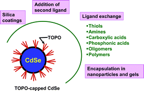 Graphical abstract: Surface modification of colloidal CdX-based quantum dots for biomedical applications