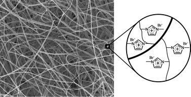Graphical abstract: Poly(ionic liquid) brush coated electrospun membrane: a useful platform for the development of functionalized membrane systems