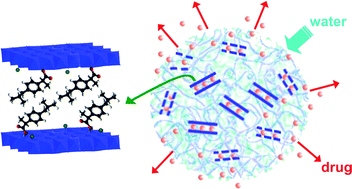 Graphical abstract: Bionanocomposites based on alginate–zein/layered double hydroxide materials as drug delivery systems