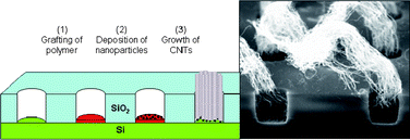 Graphical abstract: Growth of carbon nanotubes through selective deposition of nanoparticles
