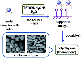 Graphical abstract: Leaching- and fragmentation-free heterogenization of late transition metal complexes as a model system to prove the growth mechanism of polyethylene