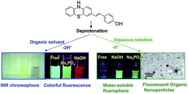 Graphical abstract: Dual optical responses of phenothiazine derivatives: near-IR chromophore and water-soluble fluorescent organic nanoparticles