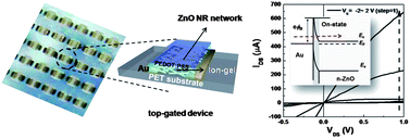 Graphical abstract: Random network transistor arrays of embedded ZnO nanorods in ion-gel gate dielectric