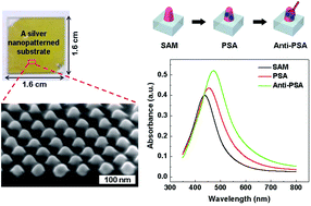 Graphical abstract: A plasmonic biosensor array by block copolymer lithography