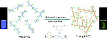 Graphical abstract: A fluorescent conjugated polymer for trace detection of diamines and biogenic polyamines