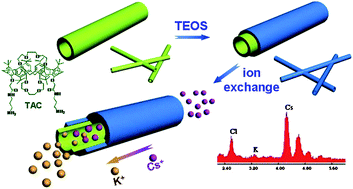 Graphical abstract: A one-pot approach to coaxial hybrid nanotubes of calixarene/silica via self-assembly and sol–gel transition