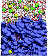 Graphical abstract: A computational investigation of the properties of a reverse osmosis membrane